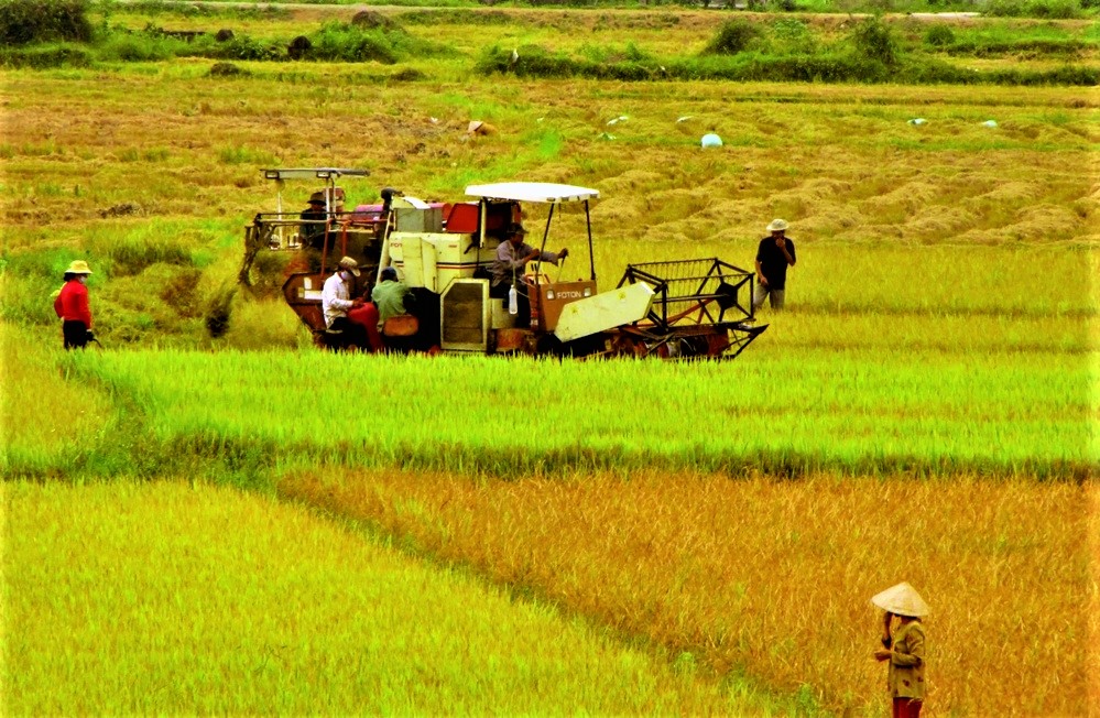 H&amp;agrave; Tĩnh tăng cường quản l&amp;yacute; chất lượng giống, đảm bảo năng suất l&amp;uacute;a vụ Xu&amp;acirc;n