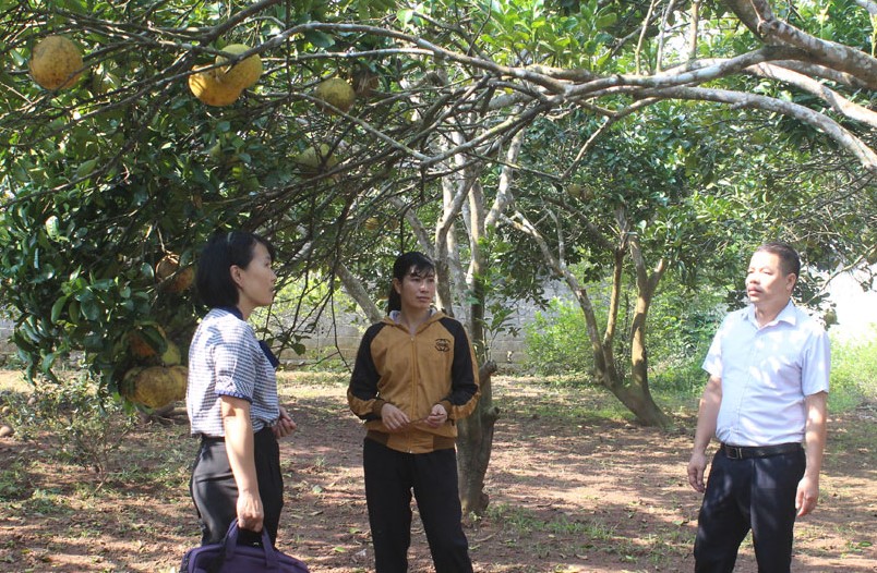 Th&amp;ocirc;ng qua c&amp;aacute;c tổ chức ch&amp;iacute;nh trị - x&amp;atilde; hội nhận uỷ th&amp;aacute;c, vốn ch&amp;iacute;nh s&amp;aacute;ch đ&amp;atilde; được truyền tải kịp thời đến người d&amp;acirc;n tr&amp;ecirc;n địa b&amp;agrave;n tỉnh H&amp;ograve;a B&amp;igrave;nh