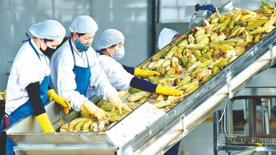 Nhiều thuận lợi để xuất khẩu n&amp;ocirc;ng sản sang Trung Quốc 2024 tăng trưởng mạnh