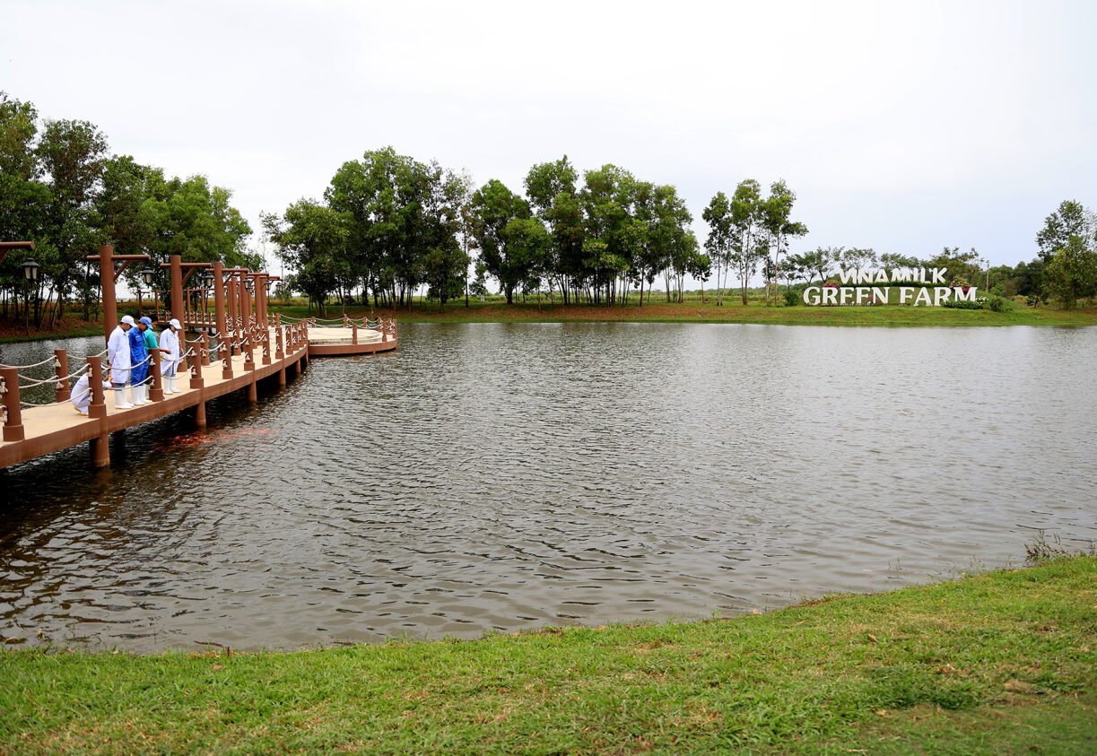 Kh&amp;ocirc;ng gian xanh m&amp;aacute;t tại trang trại Vinamilk Green Farm T&amp;acirc;y Ninh. Ảnh: Vi Nam.