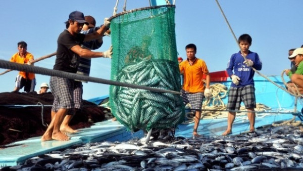 Hà Tĩnh tập trung cao các giải pháp chống khai thác IUU