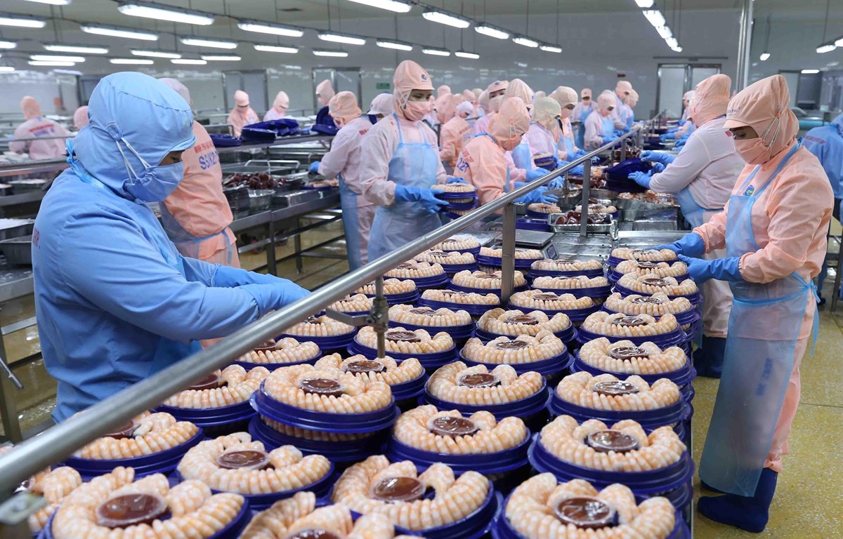 Lợi nhuận 2024 của ng&amp;agrave;nh thủy sản sẽ tăng 20%-30%