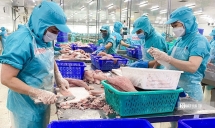 Cần khoan thư sức doanh nghiệp để nuôi dưỡng niềm tin và phục hồi