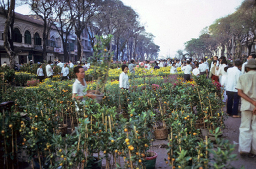 Chợ hoa ng&amp;agrave;y Tết ở S&amp;agrave;i G&amp;ograve;n những năm 1966 -1967 (Ảnh tư liệu)