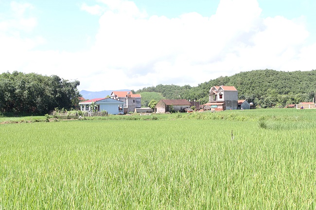 Chương tr&amp;igrave;nh MTQG ph&amp;aacute;t triển KT-XH v&amp;ugrave;ng đồng b&amp;agrave;o DTTS&amp;amp;MN g&amp;oacute;p phần x&amp;oacute;a đ&amp;oacute;i, giảm ngh&amp;egrave;o th&amp;uacute;c đẩy ph&amp;aacute;t triển KT-XH miền n&amp;uacute;i, v&amp;ugrave;ng s&amp;acirc;u, v&amp;ugrave;ng xa.