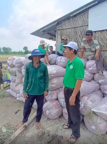 N&amp;ocirc;ng d&amp;acirc;n vui mừng với gi&amp;aacute; l&amp;uacute;a gạo được thu mua cao hơn thị trường