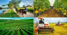 Cần trí thức hóa nông dân