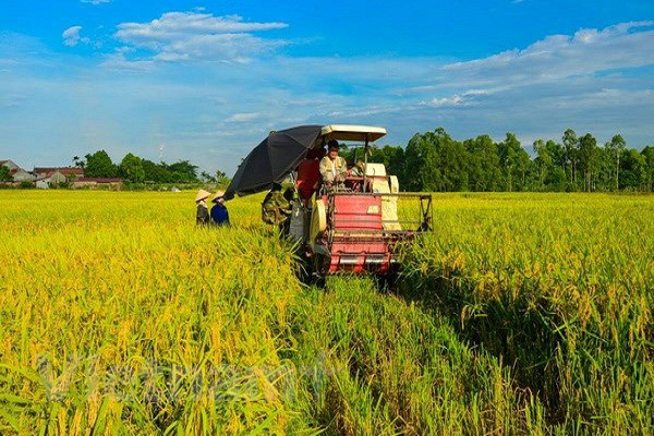 Với chủ trương thực hiện m&amp;ocirc; h&amp;igrave;nh HTX kiểu mới hoạt động hiệu quả  trong nhiều lĩnh vực.Ảnh: Internet