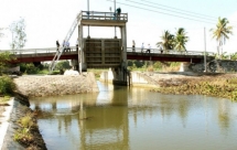 ĐBSCL chủ động ứng phó với khô hạn, xâm nhập mặn 2021