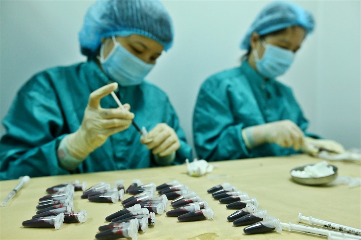 Lấy mẫu huyết thanh của chuột đ&amp;atilde; ti&amp;ecirc;m dự tuyển vắc xin COVID-19, để đ&amp;aacute;nh gi&amp;aacute; khả năng sinh miễn dịch v&amp;agrave;o ng&amp;agrave;y 15/5 v&amp;agrave; 29/5. Ảnh: Minh Quyết - TTXVN