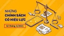 Những chính sách mới đáng chú ý có hiệu lực thi hành từ tháng 3/2021