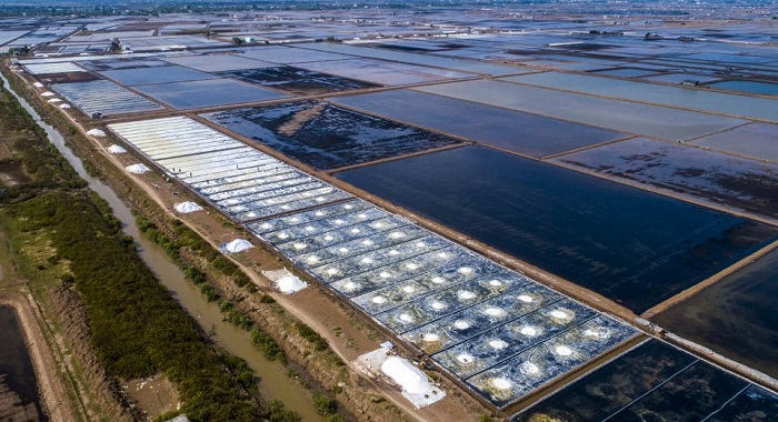 C&amp;aacute;nh đồng muối tại Bạc Li&amp;ecirc;u.