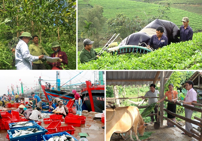 Tỉnh Nghệ An tăng cường mở rộng ứng dụng c&amp;aacute;c tiến bộ khoa học kỹ thuật &amp;aacute;p dụng v&amp;agrave;o sản xuất. Ảnh: Internet
