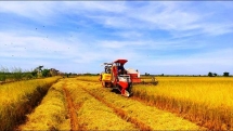 Thủ tướng Chính phủ ban hành Kế hoạch cơ cấu lại ngành nông nghiệp