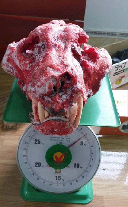 C&amp;ograve;n đ&amp;acirc;y l&amp;agrave; xương hổ đ&amp;atilde; được r&amp;oacute;c thịt, chờ nấu cao