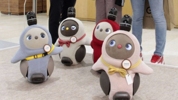 “Thú cưng Androi” của Nhật Bản bùng nổ doanh số giữa Đại dịch COVID-19