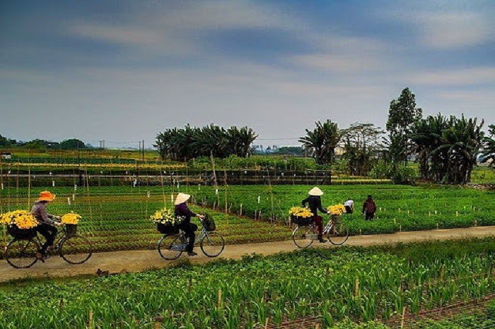 Ph&amp;aacute;t triển c&amp;ocirc;ng nghiệp chế biến, tăng cường ứng dụng cơ giới h&amp;oacute;a trong tất cả c&amp;aacute;c kh&amp;acirc;u của chuỗi gi&amp;aacute; trị n&amp;ocirc;ng nghiệp. Ảnh: Internet