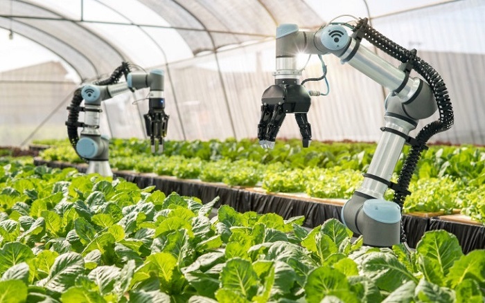IoT trong n&amp;ocirc;ng nghiệp gi&amp;uacute;p n&amp;ocirc;ng d&amp;acirc;n kiểm so&amp;aacute;t tốt hơn, đồng thời giảm sự phụ thuộc v&amp;agrave;o những yếu tố kh&amp;oacute; đo&amp;aacute;n. Ảnh: Internet