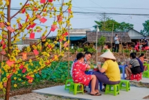 Cần Thơ: Quán chay giữa ruộng thu hút giới trẻ dịp tết