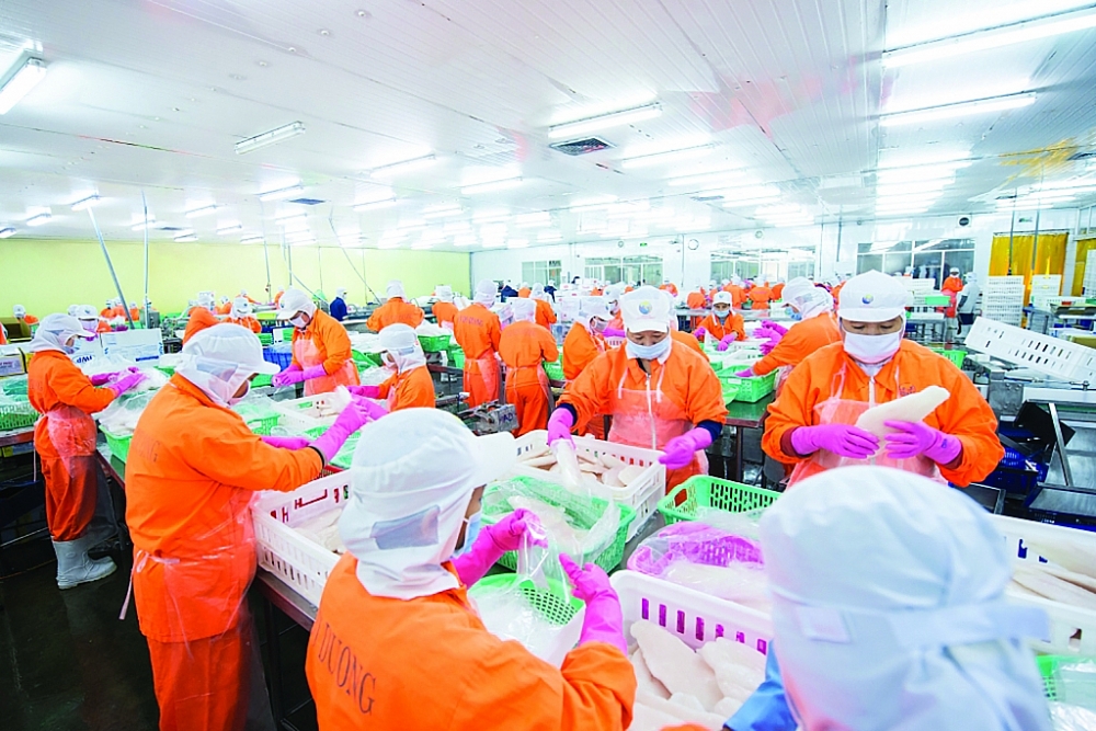 Chế biến thủy sản xuất khẩu tại C&amp;ocirc;ng ty Nam Việt