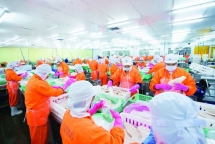 Nhiều doanh nghiệp xuất khẩu thủy sản hàng triệu USD