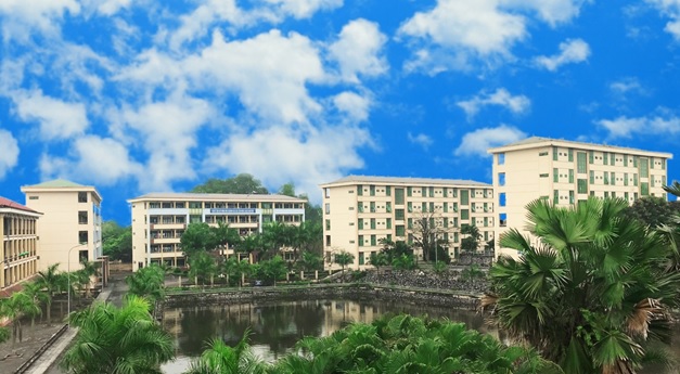 Ảnh minh họa