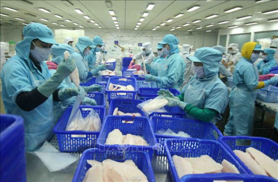 Hoàn thiện chính sách pháp luật, tiêu chuẩn, quy chuẩn kỹ thuật về an toàn thực phẩm