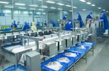 Thủy sản và Thương mại Thuận Phước lên kế hoạch lợi nhuận "đi lùi"