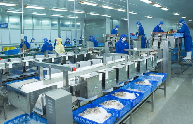 Thủy sản v&amp;agrave; Thương mại Thuận Phước l&amp;ecirc;n kế hoạch lợi nhuận