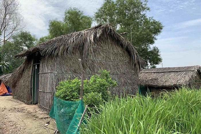 Cảnh người d&amp;acirc;n sống tạm bợ khi dự &amp;aacute;n Khu d&amp;acirc;n cư Sinh th&amp;aacute;i v&amp;agrave; Nh&amp;agrave; vườn Sen Việt triển khai gần 10 năm đến nay hoang h&amp;oacute;a. (Ảnh: Lao Động)