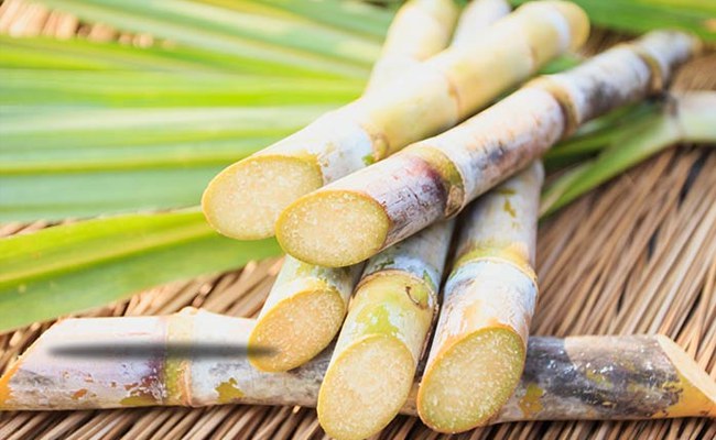 Sắp mở phiên tham vấn công khai vụ điều tra chống lẩn tránh thuế đường mía nhập khẩu Sắp mở phiên tham vấn công khai vụ điều tra chống lẩn tránh thuế đường mía nhập khẩu