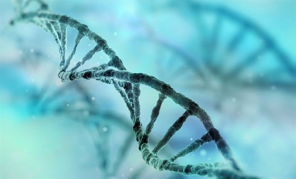 ứng dụng c&amp;ocirc;ng nghệ giải m&amp;atilde; gene v&amp;agrave; AI để hiểu r&amp;otilde; hơn con người