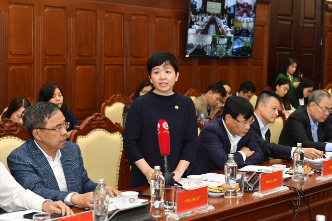 Đỗ Thị Phương Lan, Gi&amp;aacute;m đốc Phụ tr&amp;aacute;ch t&amp;aacute;i cấu tr&amp;uacute;c cho Tập đo&amp;agrave;n Novaland