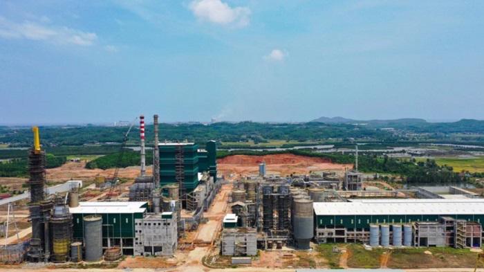 Nh&amp;agrave; m&amp;aacute;y Bột-Giấy VNT19 (đặt tại x&amp;atilde; B&amp;igrave;nh Phước, huyện B&amp;igrave;nh Sơn, tỉnh Quảng Ng&amp;atilde;i) c&amp;oacute; c&amp;ocirc;ng suất thiết kế 350.000 tấn bột giấy/năm (giai đoạn 1) nguy&amp;ecirc;n liệu sản xuất ch&amp;iacute;nh l&amp;agrave; gỗ keo, ti&amp;ecirc;u thụ tương đương 1,4 triệu tấn dăm gỗ/năm v&amp;agrave; bằng khoảng 55-60% lượng gỗ dăm đang xuất khẩu qua cảng Dung Quất.