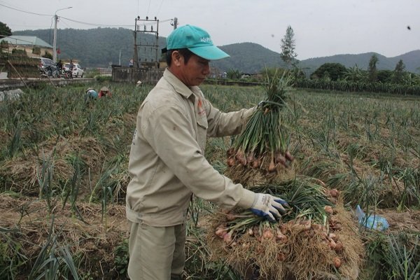 Ảnh minh họa Ảnh minh họa