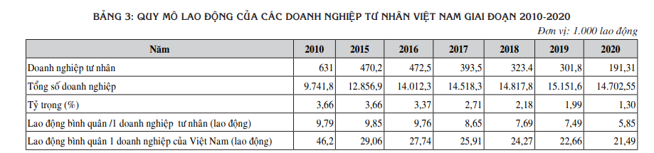 Thực trạng hoạt động sản xuất, kinh doanh của c&amp;aacute;c doanh nghiệp tư nh&amp;acirc;n tại Việt Nam