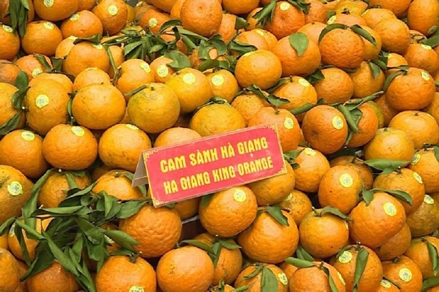 H&amp;agrave; Tĩnh kết nối, hỗ trợ H&amp;agrave; Giang ti&amp;ecirc;u thụ hơn 15 tấn cam
