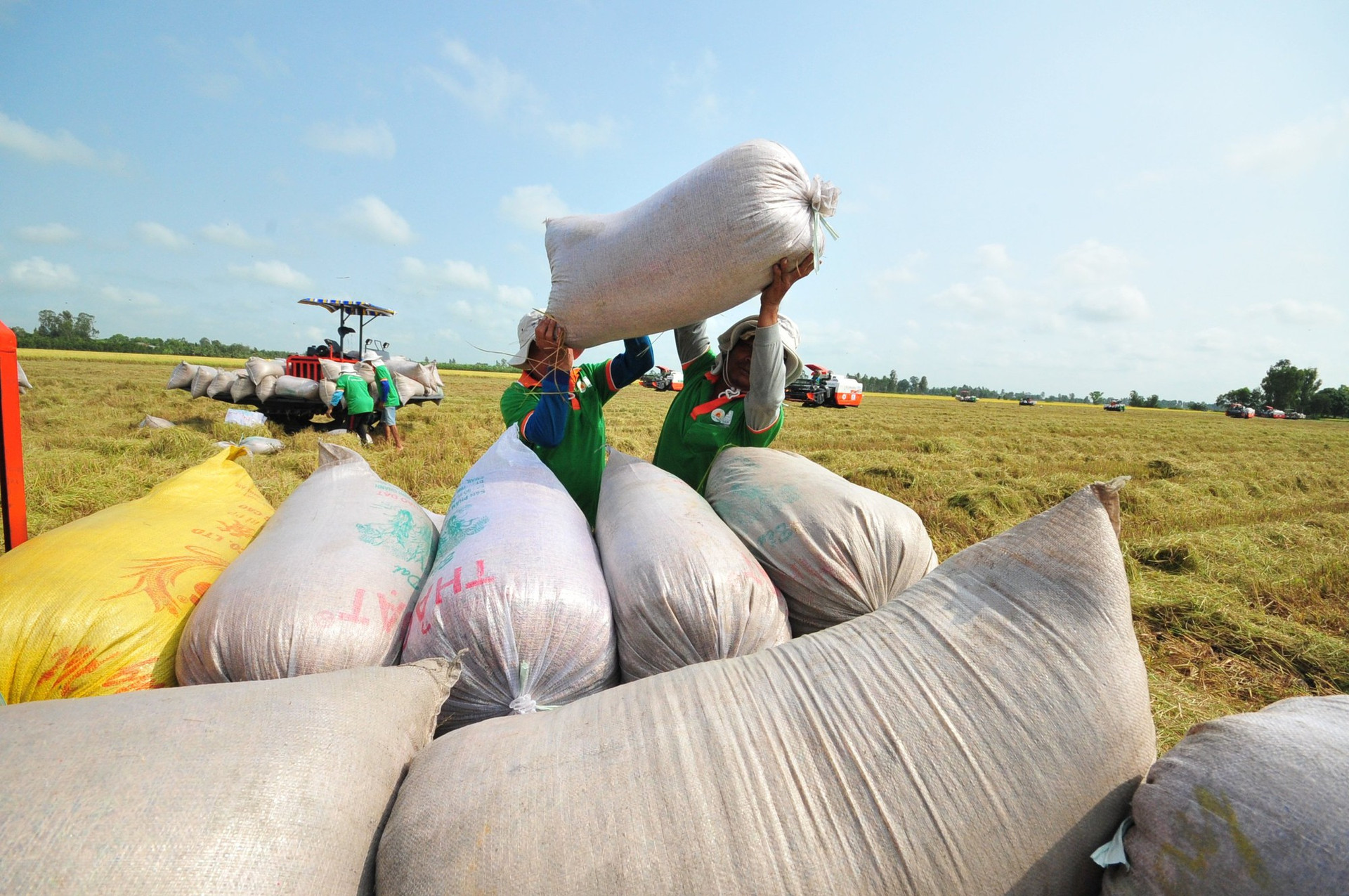 Doanh nghiệp Việt tr&amp;uacute;ng thầu tr&amp;ecirc;n 301.00 tấn gạo xuất sang Indonesia