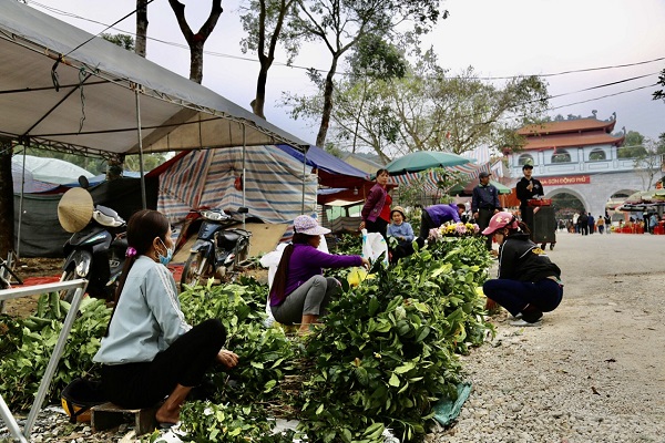 Ch&amp;egrave; xanh, l&amp;aacute; canh đắng, kiệu muối,... l&amp;agrave; những sản vật ng&amp;ocirc;i nổi tiếng của v&amp;ugrave;ng n&amp;uacute;i Nưa