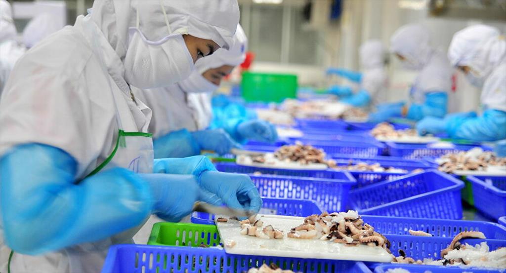 Căng thẳng Biển Đỏ đang l&amp;agrave; vấn đề quan t&amp;acirc;m của cộng đồng doanh nghiệp
