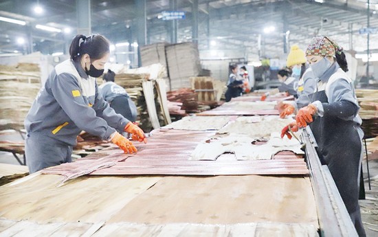 C&amp;ocirc;ng ty TNHH Tr&amp;uacute;c Mai Ph&amp;uacute; Thọ, x&amp;atilde; Ấm Hạ, huyện Hạ H&amp;ograve;a t&amp;iacute;ch cực sản xuất đầu Xu&amp;acirc;n