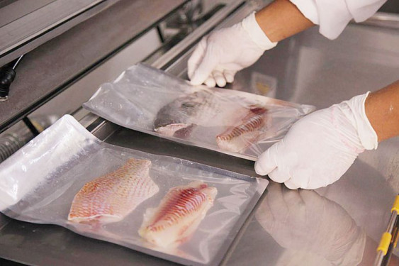 Bộ NN&PTNT thông báo Brazil ngừng nhập khẩu cá rô phi Việt Nam