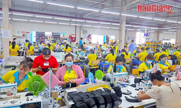 Hậu Giang: Doanh nghiệp tăng tốc sản xuất từ đầu năm hứa hẹn bứt phá
