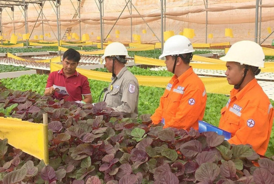 Đảm bảo cung cấp điện mùa khô 2024 tại miền Nam: EVNSPC tăng cường phương án và tuyên truyền tiết kiệm