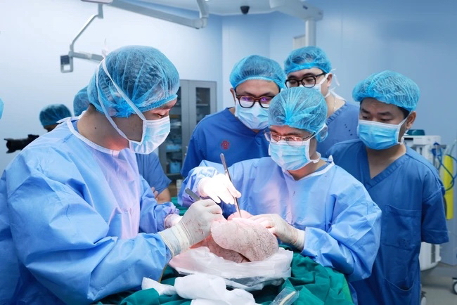 Ảnh minh họaL&amp;aacute; phổi được điều phối từ Bệnh viện Qu&amp;acirc;n đội 108 để gh&amp;eacute;p cho c&amp;ocirc; g&amp;aacute;i trẻ 21 tuổi trong dịp Tết Gi&amp;aacute;p th&amp;igrave;n vừa qua