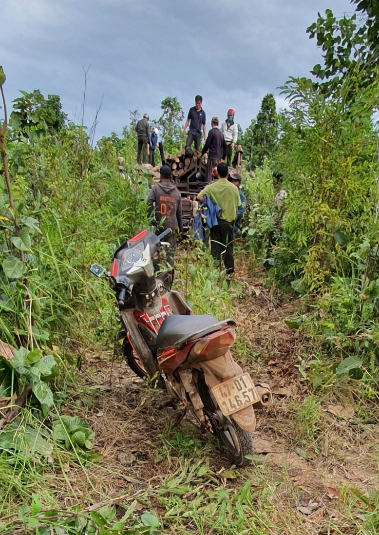 Hiện trường 1 vụ vận chuyển l&amp;acirc;m sản tr&amp;aacute;i ph&amp;eacute;p bị Hạt kiểm l&amp;acirc;m phối hợp với c&amp;aacute;c lực lượng chức năng huyện Ea S&amp;uacute;p bắt giữ ng&amp;agrave;y 06/12/2020 tại x&amp;atilde; Cư M&amp;rsquo;Lan