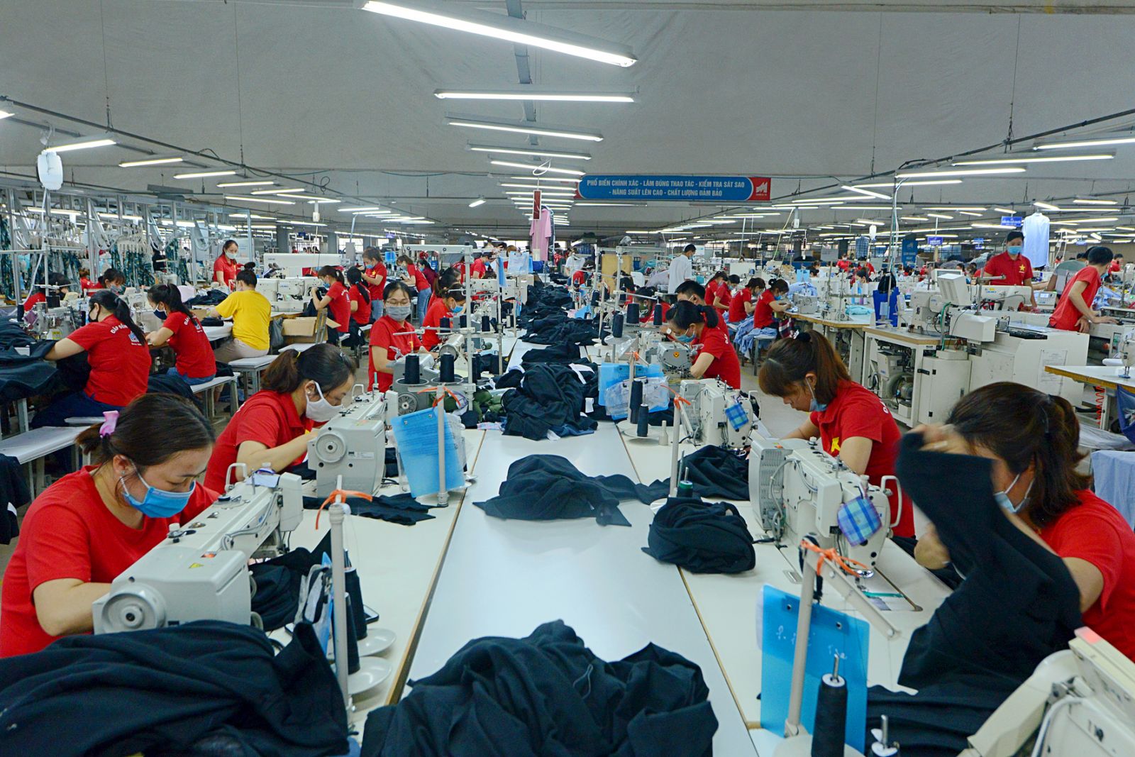 Một gốc của X&amp;iacute; nghiệp  may H&amp;agrave; Quảng
