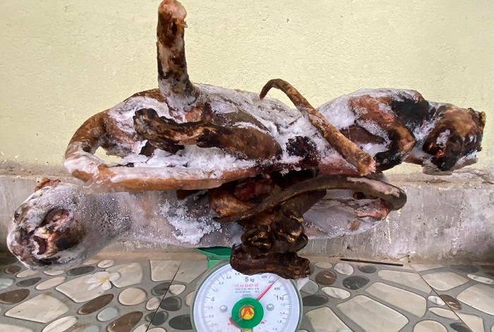 Một trong những loại động vật hoang d&amp;atilde; đ&amp;atilde; được đưa về Việt Nam v&amp;agrave; chờ người mua