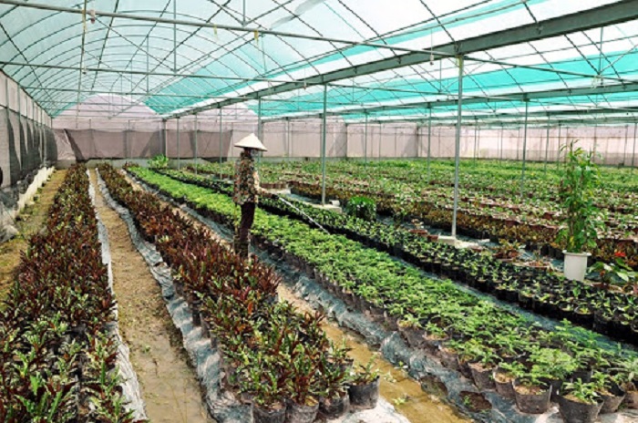 Khẳng định n&amp;ocirc;ng nghiệp giữ vai tr&amp;ograve; trụ đỡ, then chốt. Ảnh: Tư liệu