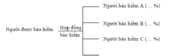 Mối quan hệ trong đồng bảo hiểm